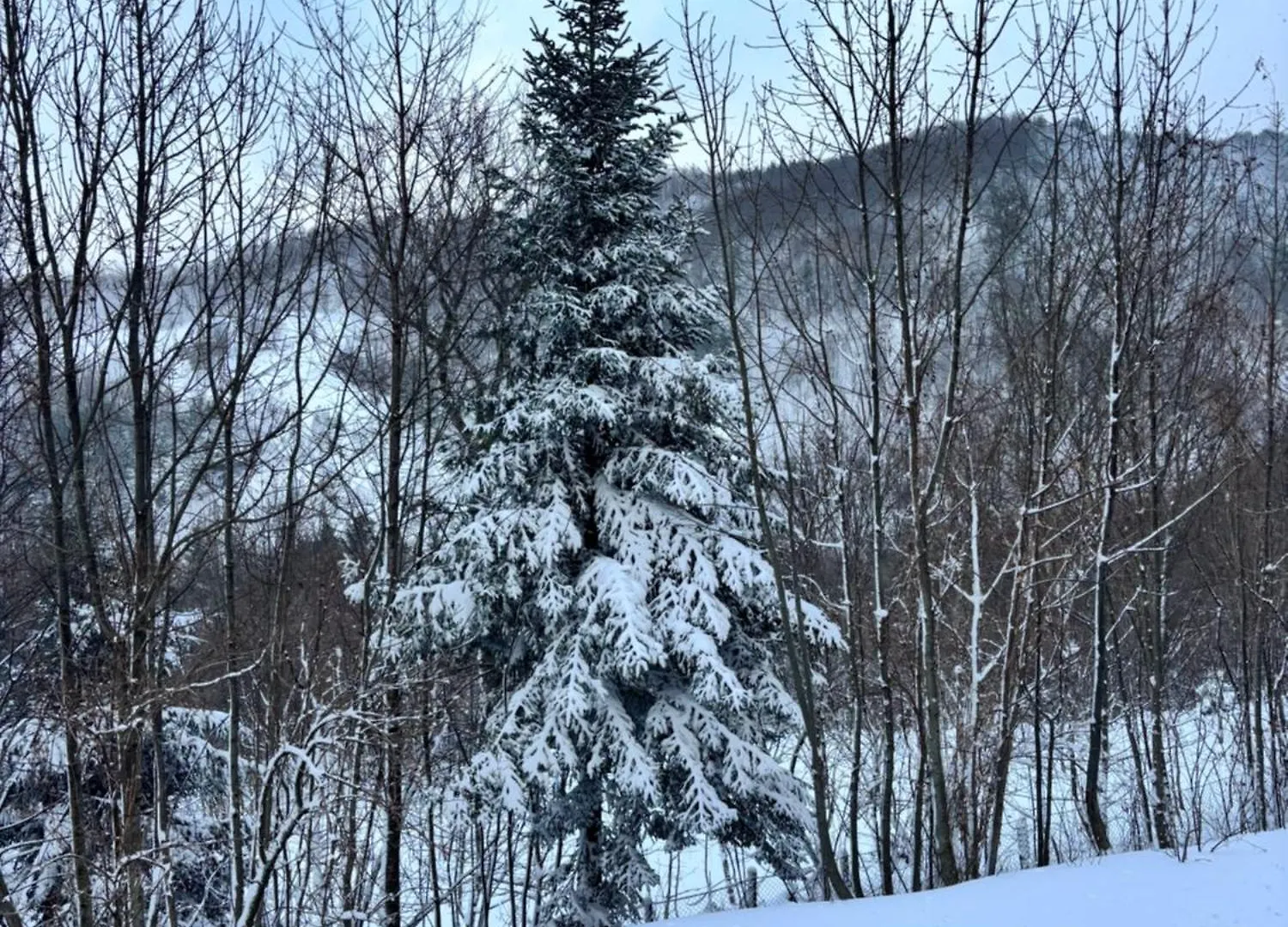 Cozy Mountain Apartment With Cimone View Faidello Italia